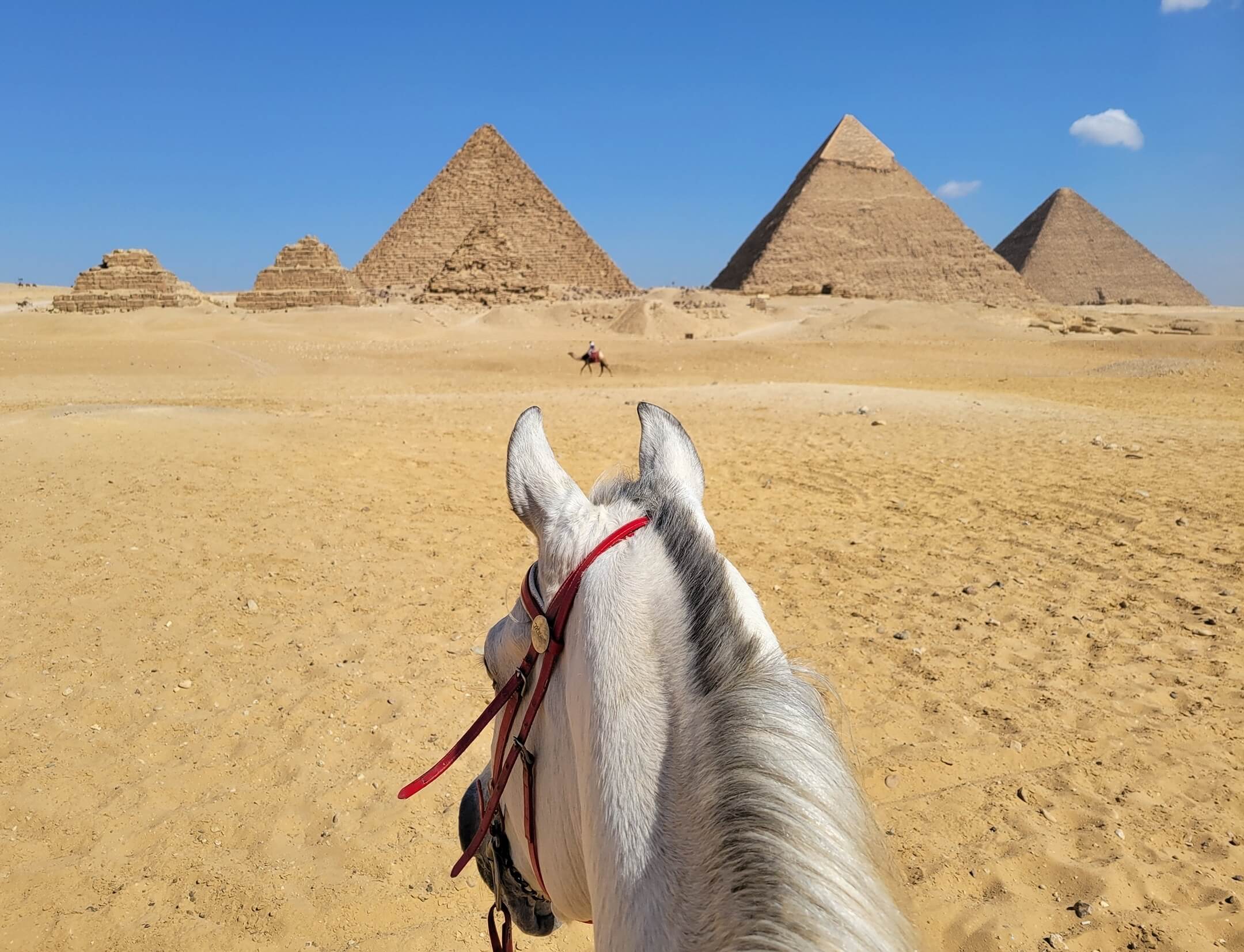 Horse Riding Tours in Egypt - Horses & Hieroglyphs