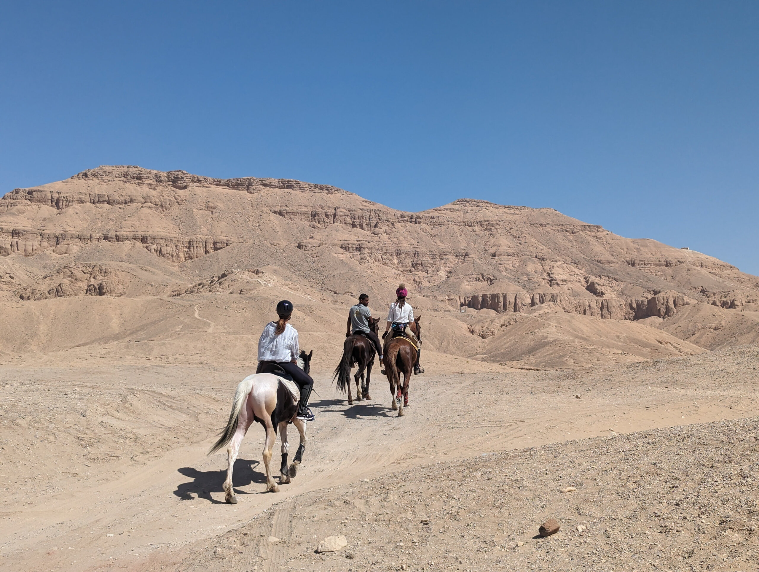horse-riding-holiday-desert-mountain-luxor-egypt