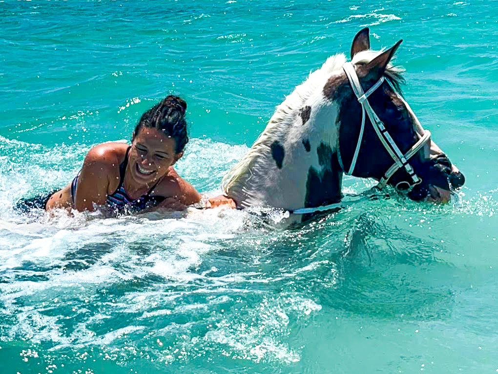 swimming-with-horses-in-red-sea-hurghada-egypt-riding-holiday