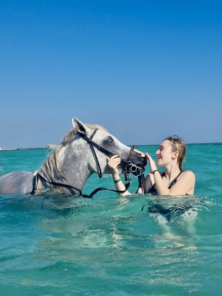 swimming-with-horses-red-sea-egypt-riding-holiday