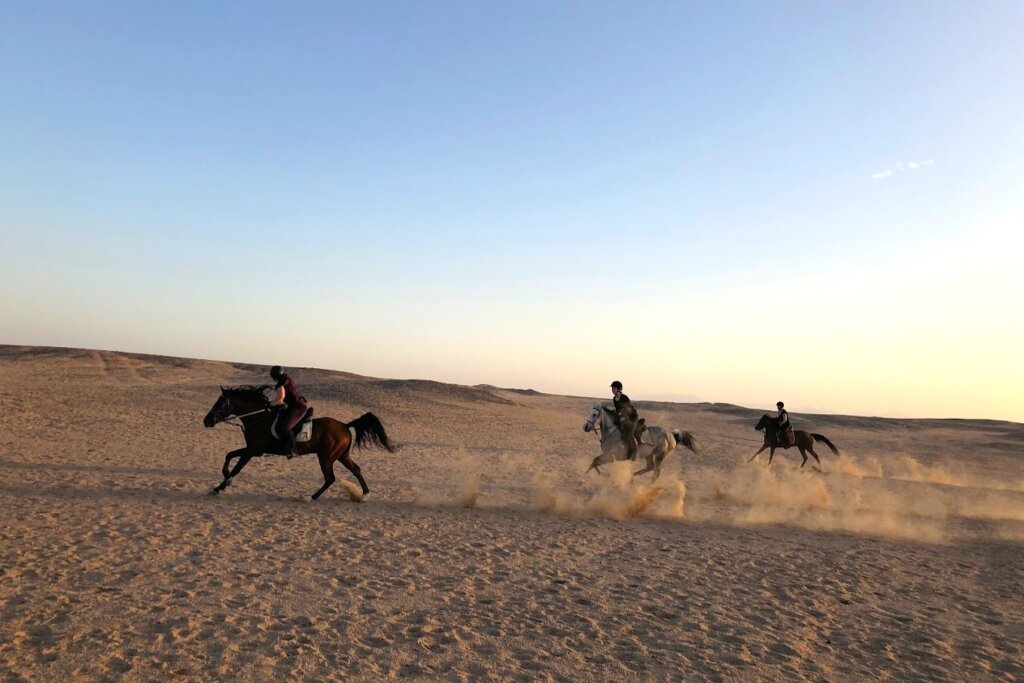 galloping-desert-horse-riding-holiday-hurghada-red-sea-egypt