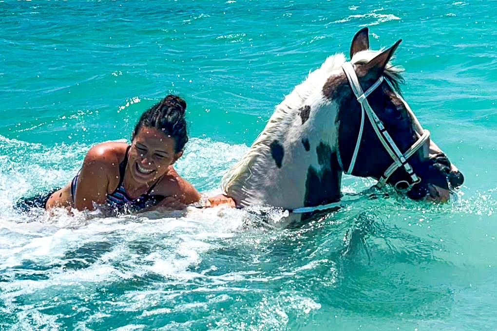 swimming-with-horses-in-red-sea-egypt-riding-holiday